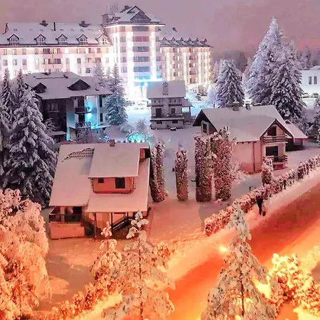 Apartment Golden Pine Lux *