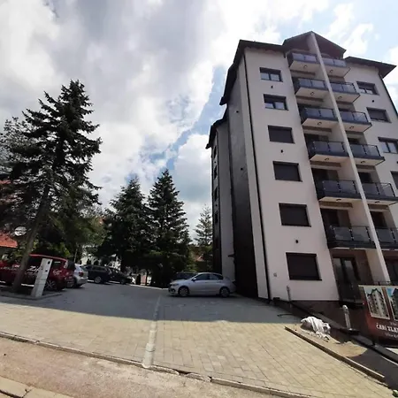 Apartment Golden Pine Lux