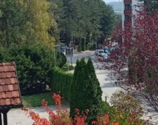 Apartment Golden Pine Lux *